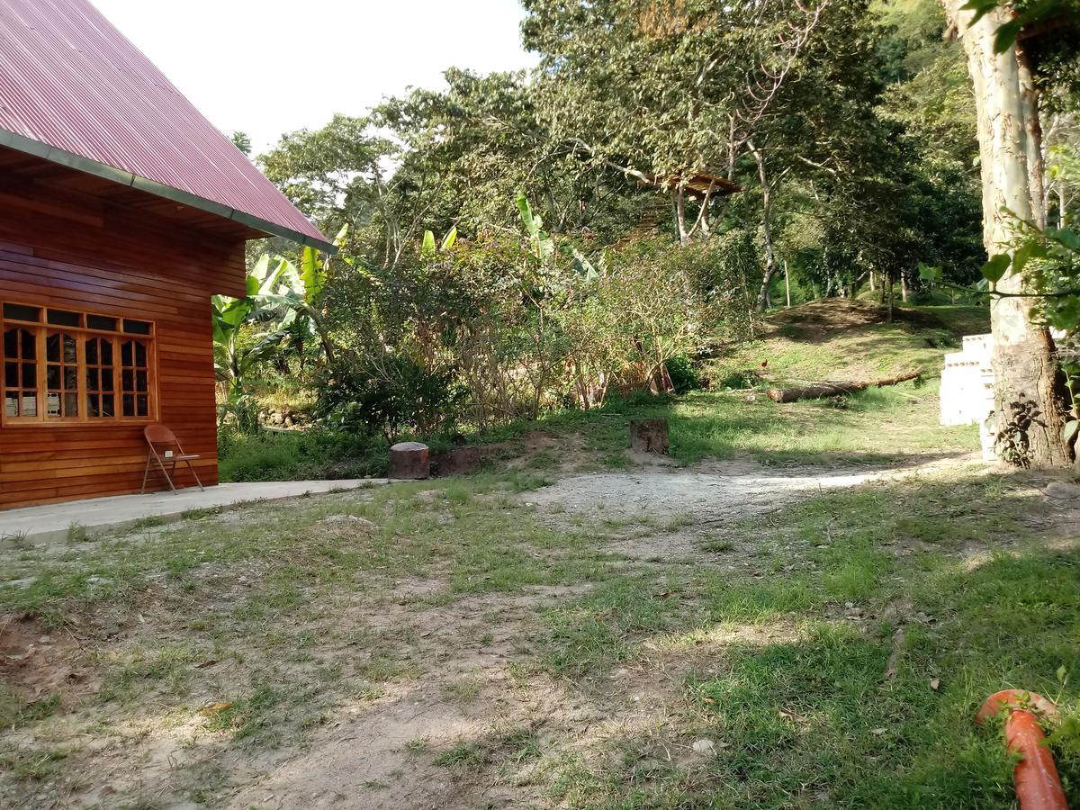 La Cabana De Noa Oxapampa Exteriör bild